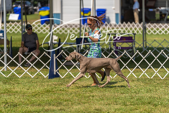 20230903-DSC02875