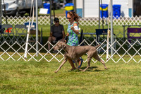 20230903-DSC02878