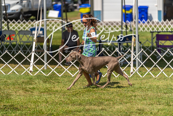 20230903-DSC02878