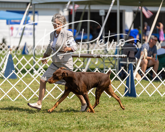 20230903-DSC02220