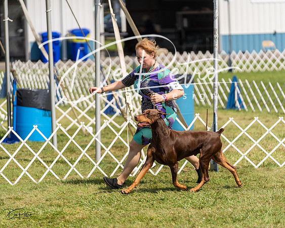 20230903-DSC02254