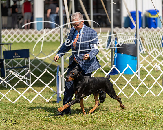 20230903-DSC02275