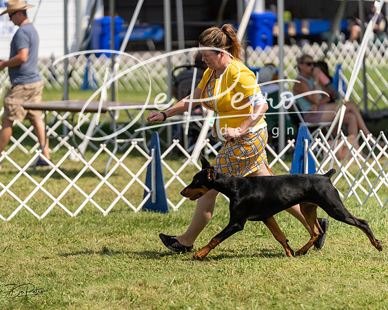 20230903-DSC02281
