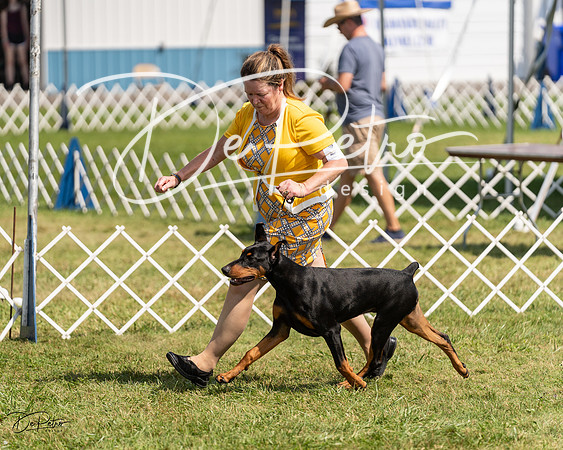 20230903-DSC02288