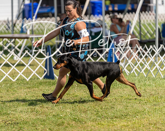 20230903-DSC02297