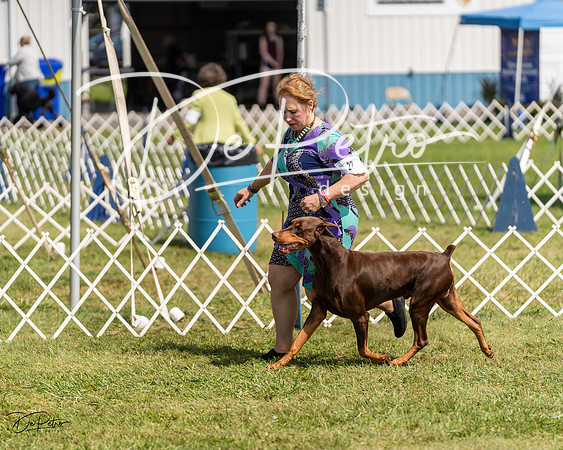 20230903-DSC02330