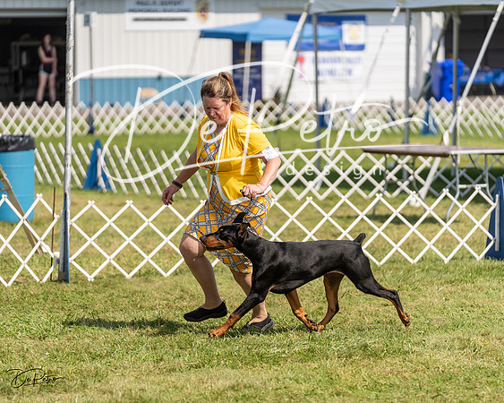 20230903-DSC02345