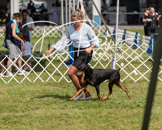 20230903-DSC02354