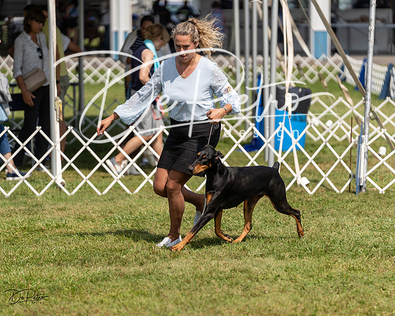 20230903-DSC02357