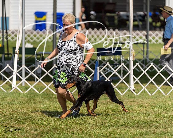 20230903-DSC02377