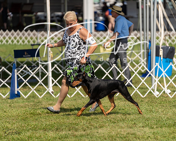 20230903-DSC02372