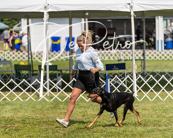 20230903-DSC02392