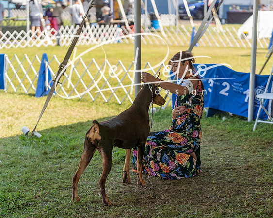 20230903-DSC02415