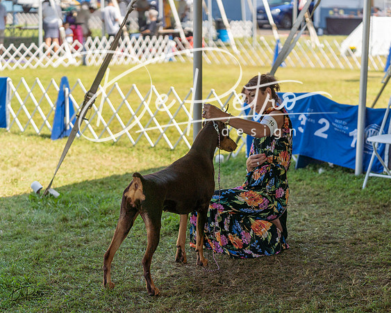 20230903-DSC02416