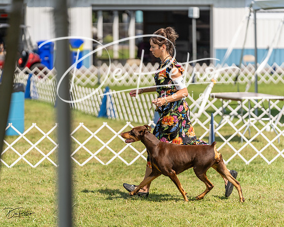 20230903-DSC02423