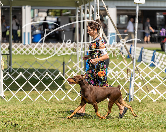 20230903-DSC02426