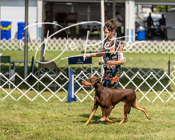 20230903-DSC02431