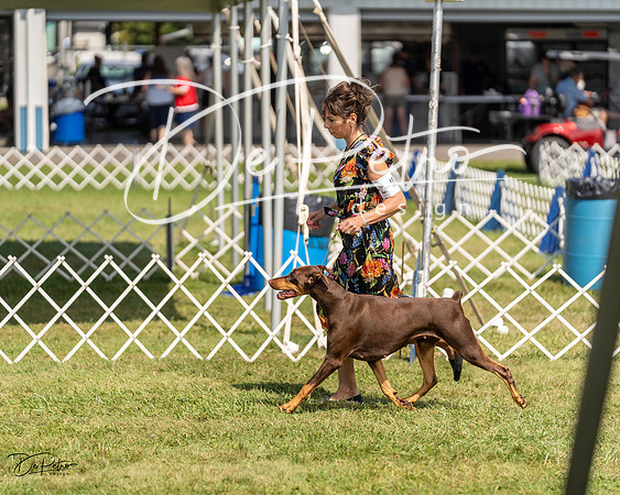 20230903-DSC02440