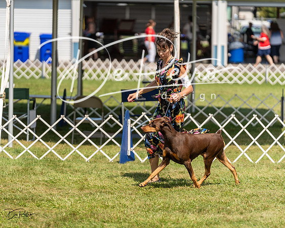 20230903-DSC02447