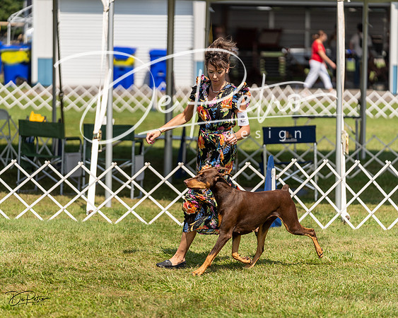 20230903-DSC02450