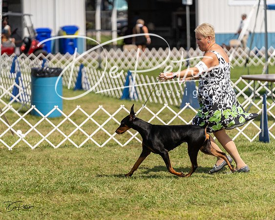 20230903-DSC02461