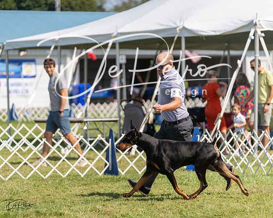 20230903-DSC02479