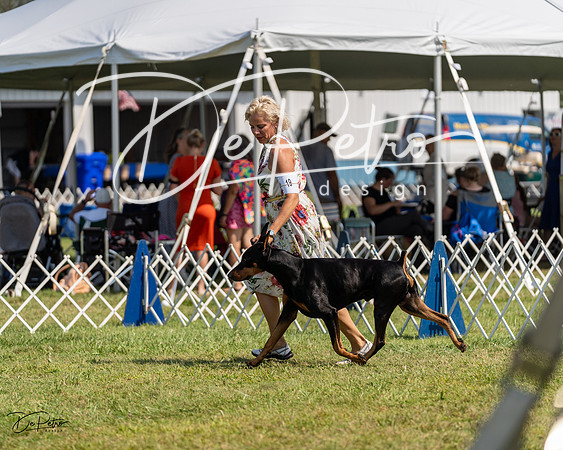 20230903-DSC02498