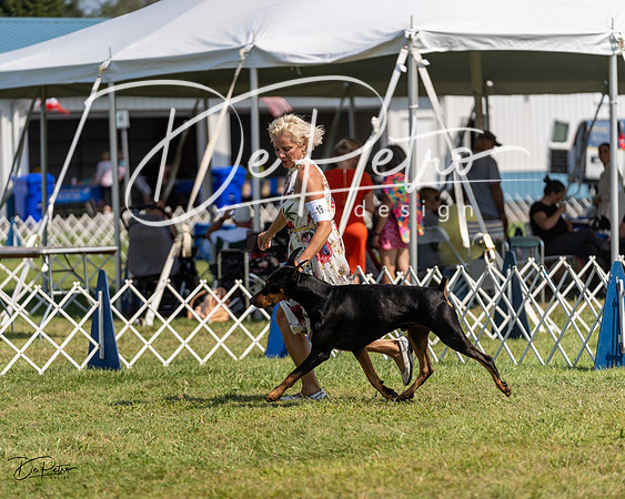 20230903-DSC02500