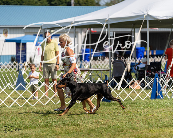 20230903-DSC02505