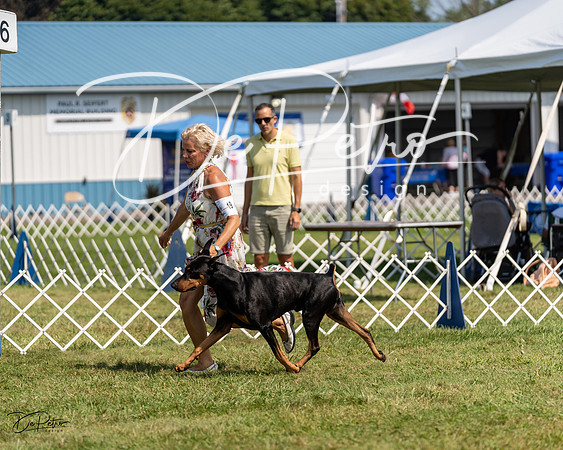 20230903-DSC02507
