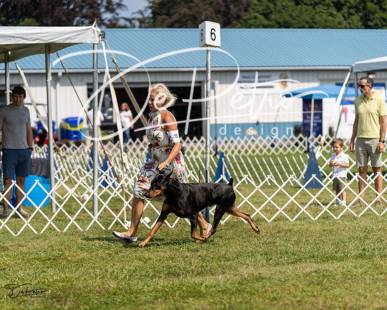 20230903-DSC02512