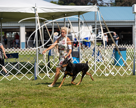20230903-DSC02517