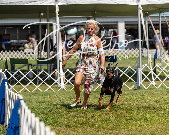20230903-DSC02525