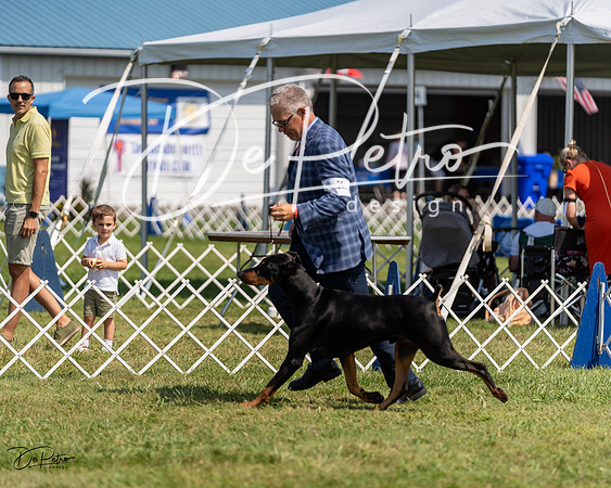 20230903-DSC02542