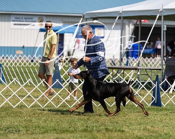 20230903-DSC02544