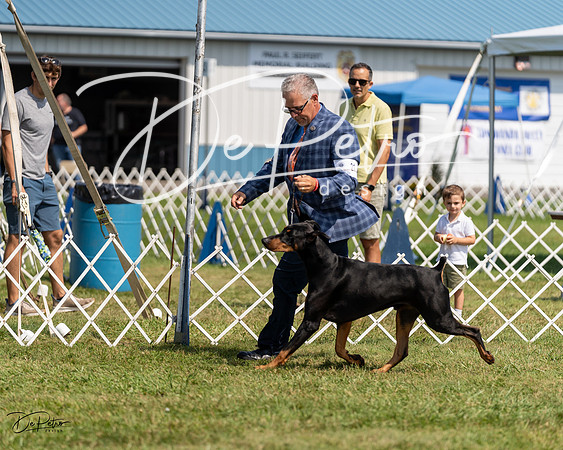 20230903-DSC02547