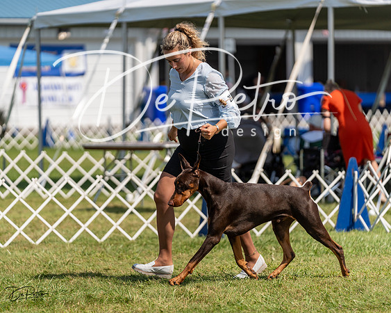 20230903-DSC02562