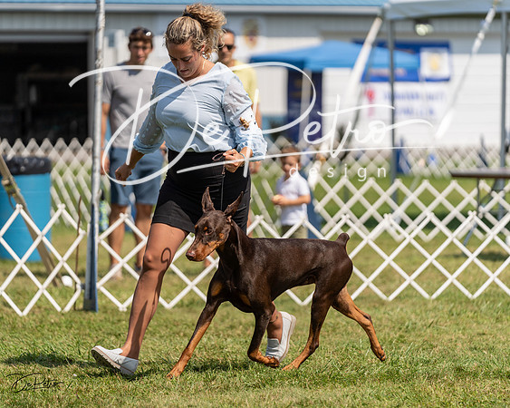 20230903-DSC02570