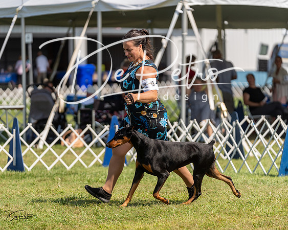 20230903-DSC02576