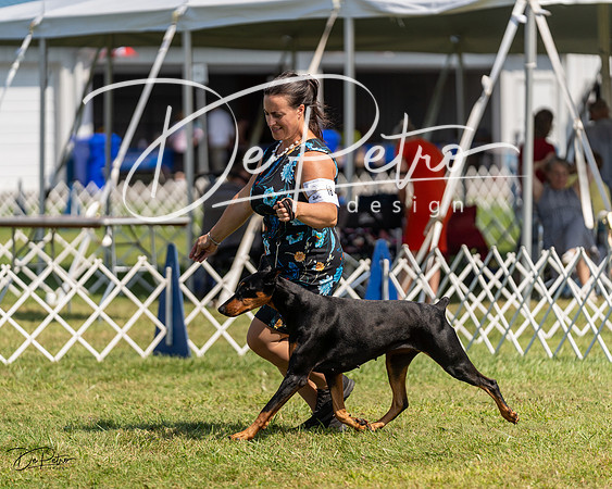20230903-DSC02578
