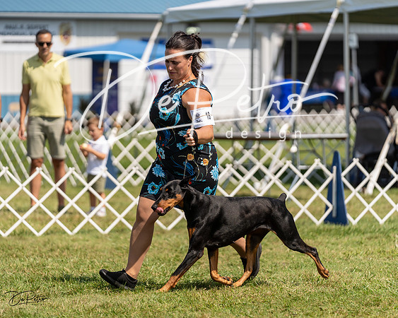 20230903-DSC02583