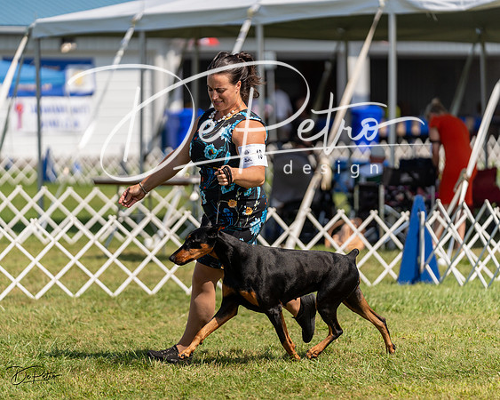 20230903-DSC02580