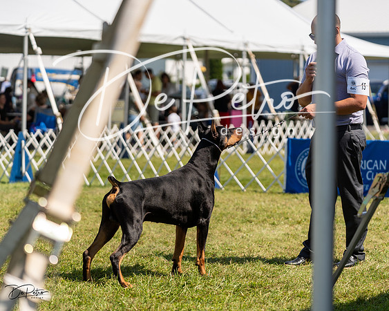 20230903-DSC02596