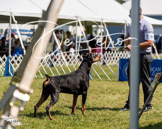 20230903-DSC02597