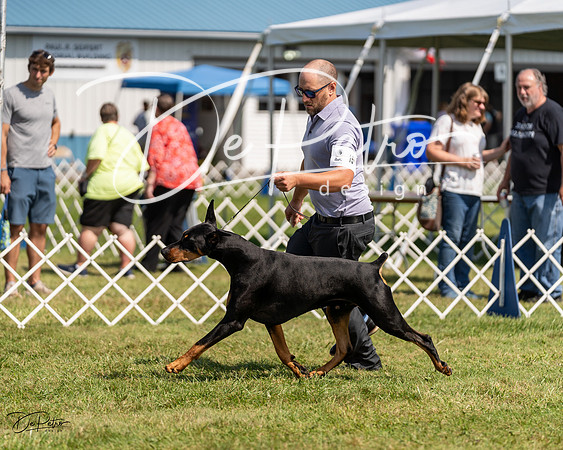 20230903-DSC02607