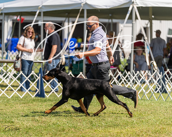 20230903-DSC02602