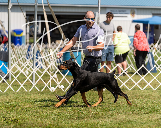 20230903-DSC02612