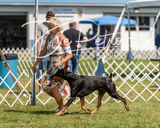 20230903-DSC02633
