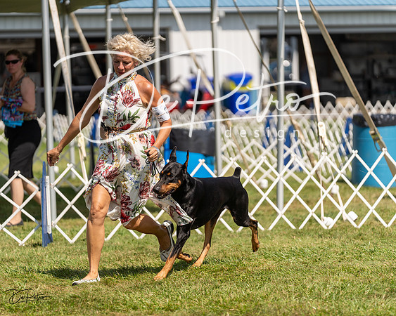 20230903-DSC02643