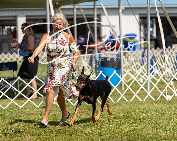 20230903-DSC02645